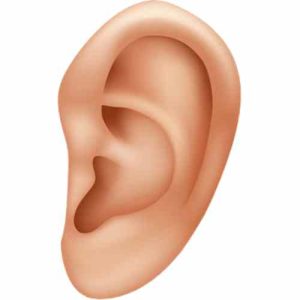 Ear Discharge: 5 Symptoms, Causes, Types, Treatments